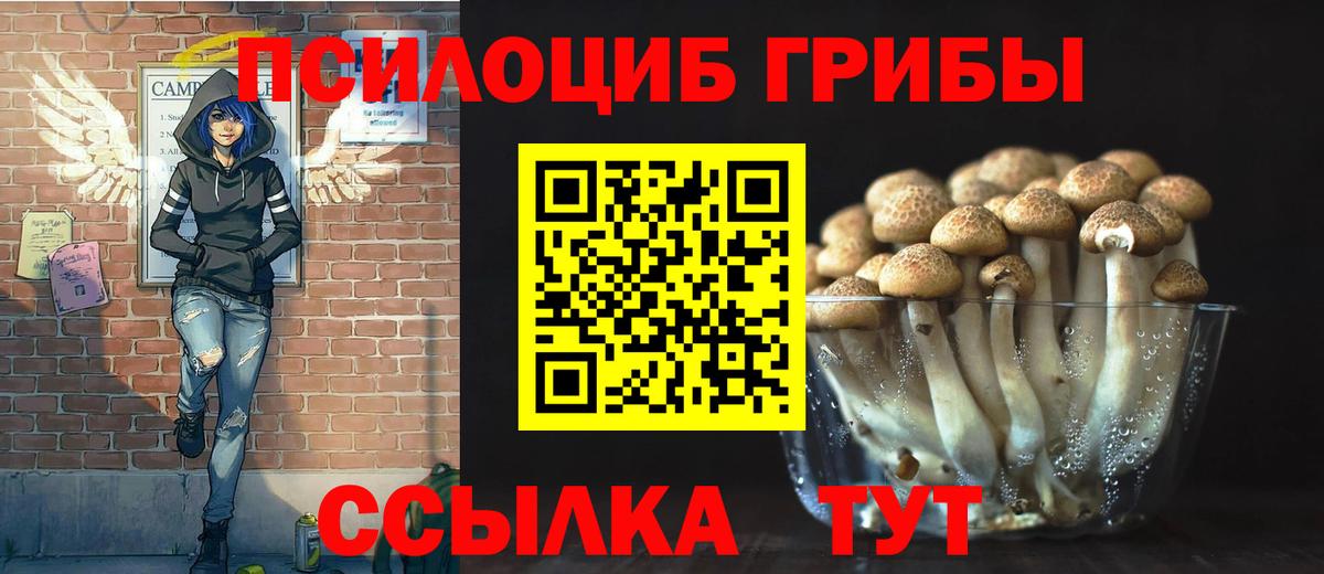 Галлюциногенные грибы прущие грибы Серпухов